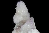 Cactus Quartz (Amethyst) Cluster - South Africa #80006-3